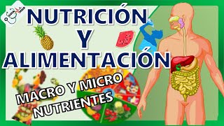 CONCEPTOS BÁSICOS DE NUTRICIÓN Y ALIMENTACIÓN  GuiaMed [upl. by Storz861]