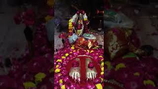 Sati Mata Mandir Ujjain  Meldi MAA Ujjain shorts meldimaa mandirdarshan shortviral matarani [upl. by Pheni]