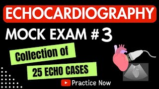 Echocardiography Mock Exam 3  Collection of 25 Echo Cases cardiology echo echocardiography [upl. by Ahtnahc962]