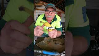 Best 4 Home Remedies for Welding Flash [upl. by Shaffer283]