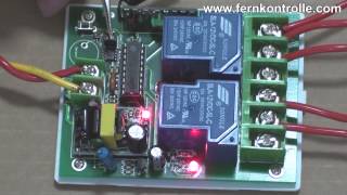 2 Kanal funkschalter mit handsender ac220v funkschlater [upl. by Relyuc]