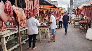 FEIRA DE DOMINGO NA CECÍLIA RODRIGUES EM GARANHUNSPE [upl. by Jilleen391]