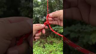 Wild Butterfly Knot bushcraft survivalskills camping outdoors [upl. by Bruis]