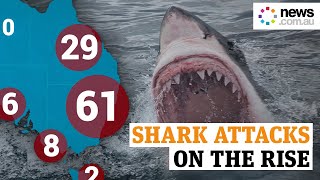 Why this is the deadliest year for shark attacks since 2012 [upl. by Hartzell347]