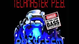 Techmaster PEB  Intellibass [upl. by Etteneg]