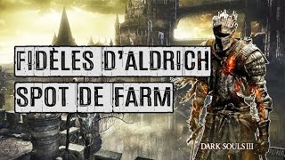 28 ► Serment  Fidèles dAldrich ● DARK SOULS 3 ● GUIDE PLATINE FR [upl. by Morentz]