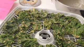 Cooking Vegan Nacho Cheese Kale Chips [upl. by Osber]