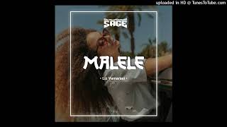 Malele Sage675 Remix2024Liz VamarasiMoombahChillMoombahChill [upl. by Ahsenot]