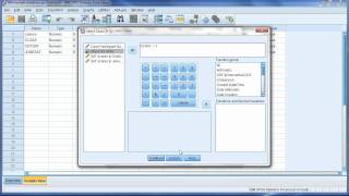 SPSS onesample t Test and filtering by ryanlowe [upl. by Ferrigno]