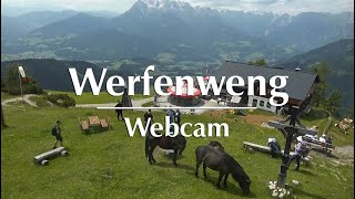 Webcam Werfenweng – Zauberhafter Almsommer in Österreich [upl. by Assilrac]