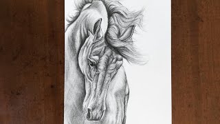 COME DISEGNARE UN CAVALLO REALISTICO IN BIANCO E NERO [upl. by Winslow]