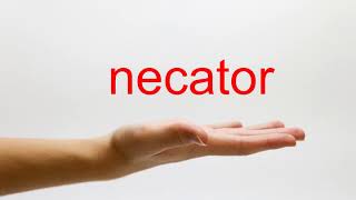 How to Pronounce necator  American English [upl. by Hillard]