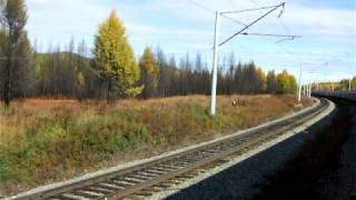 Vienna  Pyongyang by train Siberian landscape [upl. by Tabib]