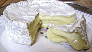 Les secrets du camembert [upl. by Dachi]