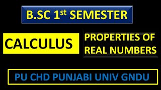 BSC 1st SEMESTER CHAPTER REAL NUMBERS  IMPORTANT QUESTIONS  LECTURE 2  DENSENESS PROPERTY [upl. by Nolyat376]