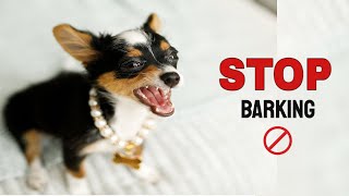 Stop Puppy Barking sound to stop puppy barking at strangers and other dogs [upl. by Carlisle]