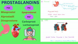 Prostaglandins Pharmacology Functions and Clinical uses prostaglandin drugs pharmacology [upl. by Fidellia]