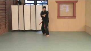 Rick Jeffcoats  American Kenpo Karate  L6  Form 6 [upl. by Sydalg426]