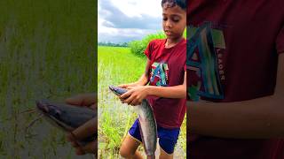 Wonderful Village Kids Boys Hand Fishing MomentsPart3 fish huntinghandfishingshorts video [upl. by Yeliab]