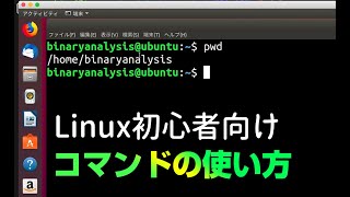 知っておきたいLinuxコマンドの使い方。セキュリティ入門  ホワイトハッカーになるための勉強  Linux初心者向け【はじめてのバイナリ解析 2】 [upl. by Yacano494]