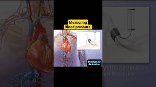 measuring blood pressure [upl. by Llewellyn]