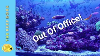 The Reef Dork is out of office [upl. by Yeltsew]