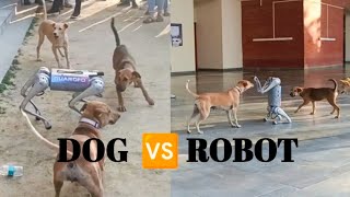 Robot dog vs Street dogs 🤣  IIT KANPUR [upl. by Beuthel]