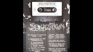 Vital Vinyl Vlogs Daily Demo Of The Day Sequestrum Epitome Of Putridity Demo 2022 [upl. by Lashond459]