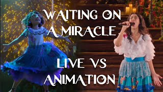 Encanto  Waiting On A Miracle  Live Vs Animation  Side By Side Comparison  Stephanie Beatriz [upl. by Cirilla101]