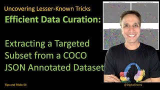 Extracting a Targeted Subset from a COCO JSON annotated dataset [upl. by Ahsiret239]