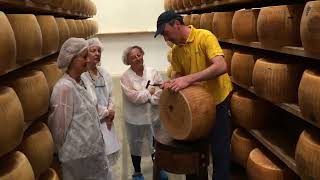 Visiting Parmesan Cheese Factory in Fidenza Italy [upl. by Melan259]