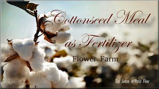 Cottonseed Meal  Plant Based Organic Fertilizer  Growing Flowers  Flower Farm [upl. by Eihtak]