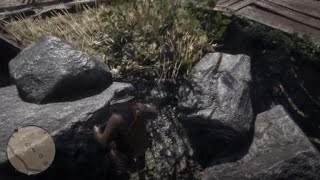 Red Dead Redemption 2 Dynamite Arrow Pamphlet  Wapiti Indian Reservation Grizzlies East [upl. by Adnaloj]