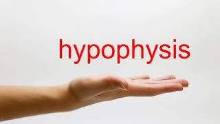 How to Pronounce hypophysis  American English [upl. by Yvaht]