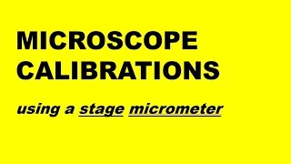 MICROSCOPE CALIBRATION USING STAGE MICROMETER All exams [upl. by Eidnak]