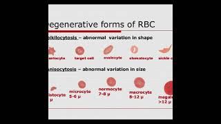 Anisocytosis  Symptoms and Causes  Diagnosis  Treatment  Prevention healthcare [upl. by Ardekahs324]