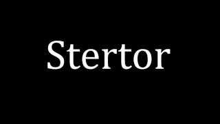 How to pronounce Stertor [upl. by Nathanial]