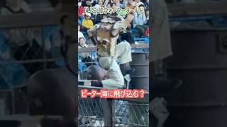 【USJ】ウォーターワールド ピーター海に飛び込む？ Shorts ユニバ ユニバーサルスタジオジャパン [upl. by Deach728]