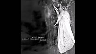 Cest la Mort  No Time to Say Goodbye Emergency Hand Puppet Eclectic Mix [upl. by Haerle]