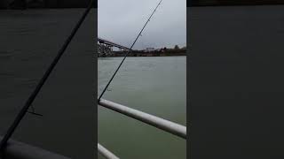 Fishing a Dam on the Ohio River [upl. by Thomasine]