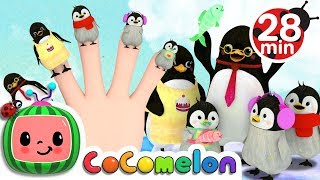 Finger Family Songs  CoComelon Nursery Rhymes amp Kids Songs [upl. by Ahtel]