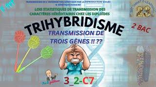 TRIHYBRIDISME  Comment le résoudre [upl. by Rehpotsirhc]