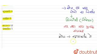 एन्जियोस्पर्म में सिनगैमी निषेचन अवधारणा की खोज की  12  पुष्पीय पादपों में लैंगिक जनन  B [upl. by Daeriam]