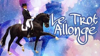 TUTO COMMENT faire et améliorer un TROT ALLONGE [upl. by Locin]