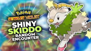 Shiny Skiddo Random in Pokemon Scarlet amp Violet [upl. by Ralina]