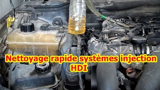 Nettoyage rapide systèmes injection HDI  تنظيف مباشر و سريع للبخاخ  mécanicien automobile mokhtar [upl. by Cristina239]