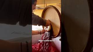 Why are Wine Barrels Sanitized [upl. by Ledairam]