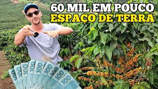 SERA QUE É POSSÍVEL VIVER DA RENDA DE 5 MIL PÉS DE CAFÉ ❓🌱 [upl. by Dorca]