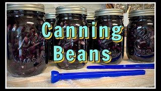 Canning Beans amp How I Store My Jars [upl. by Anauqahc735]