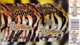 💖Tigrillos  Cumbias Con Garra Popurri Mix Vol 1 1997💖 [upl. by Ecire]